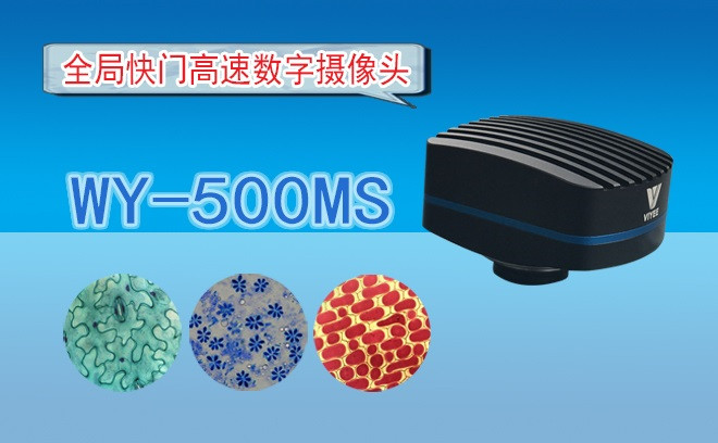 生命科学茄子TV在线观看的观察方式