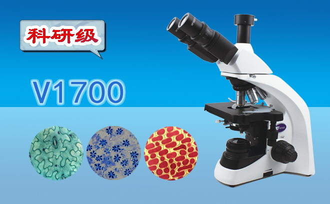 生物茄子TV在线观看.png