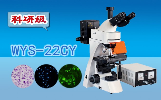 荧光茄子TV在线观看的使用方法